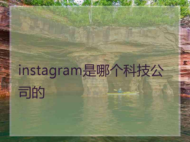 instagram是哪个科技公司的