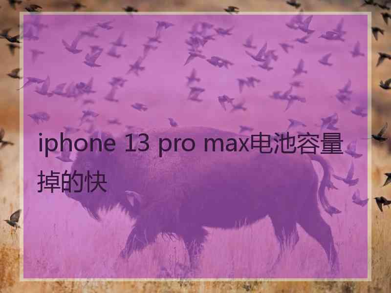 iphone 13 pro max电池容量掉的快