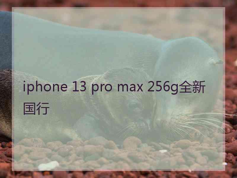 iphone 13 pro max 256g全新国行