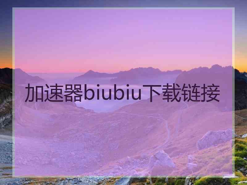 加速器biubiu下载链接