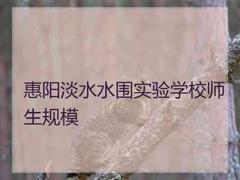 惠阳淡水水围实验学校师生规模