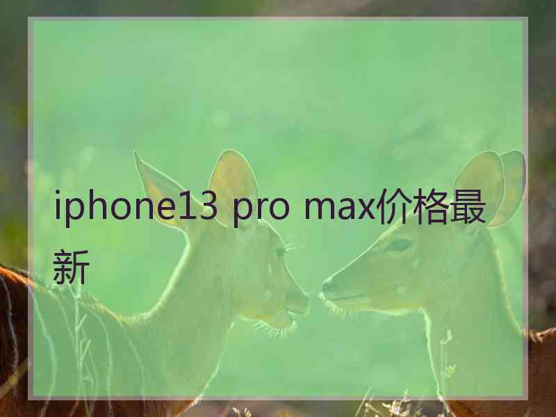 iphone13 pro max价格最新