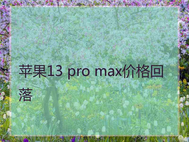 苹果13 pro max价格回落