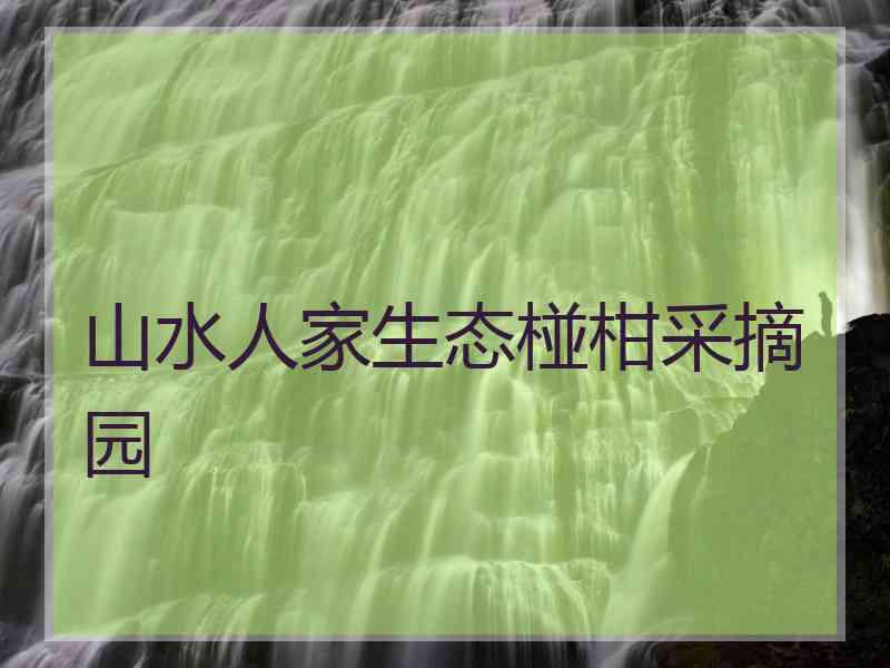 山水人家生态椪柑采摘园