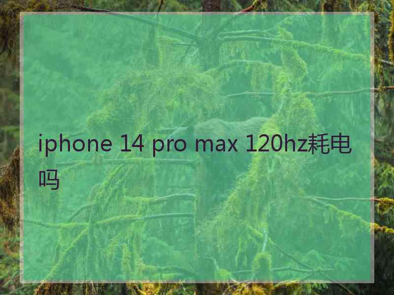 iphone 14 pro max 120hz耗电吗