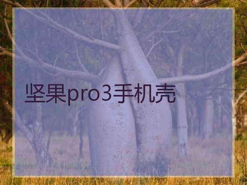 坚果pro3手机壳