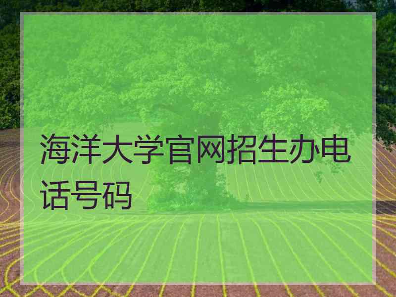 海洋大学官网招生办电话号码