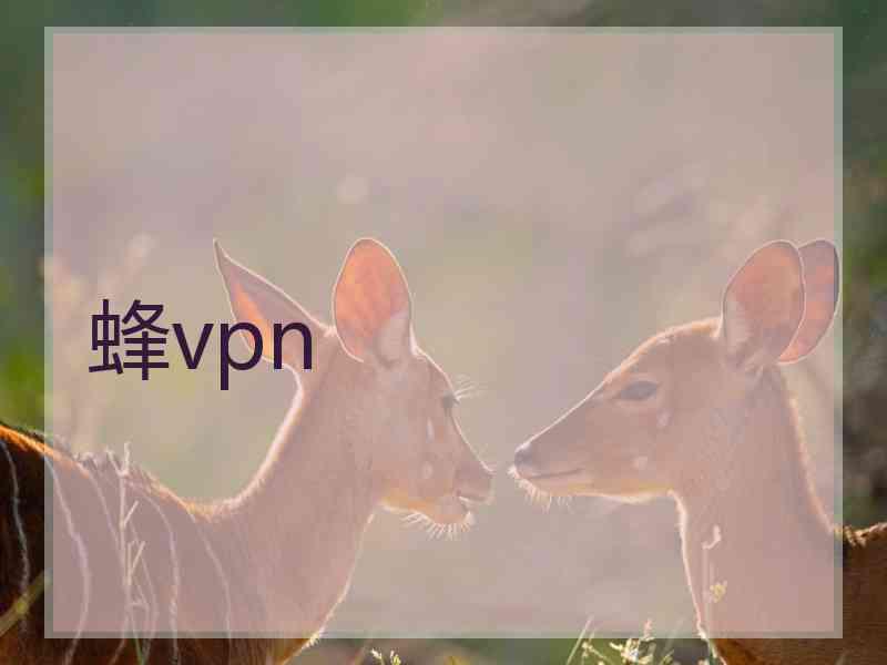 蜂vpn