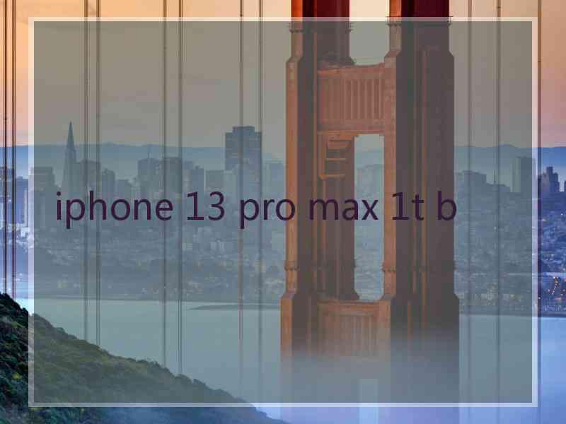 iphone 13 pro max 1t b