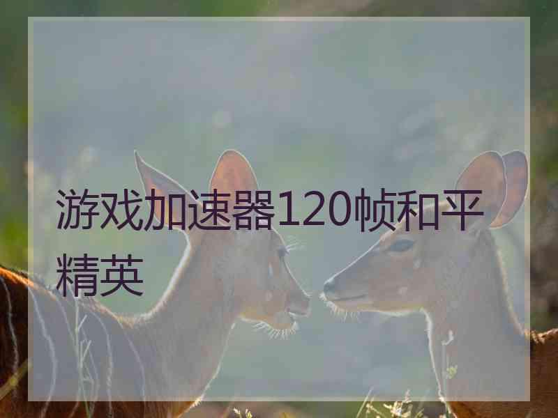 游戏加速器120帧和平精英