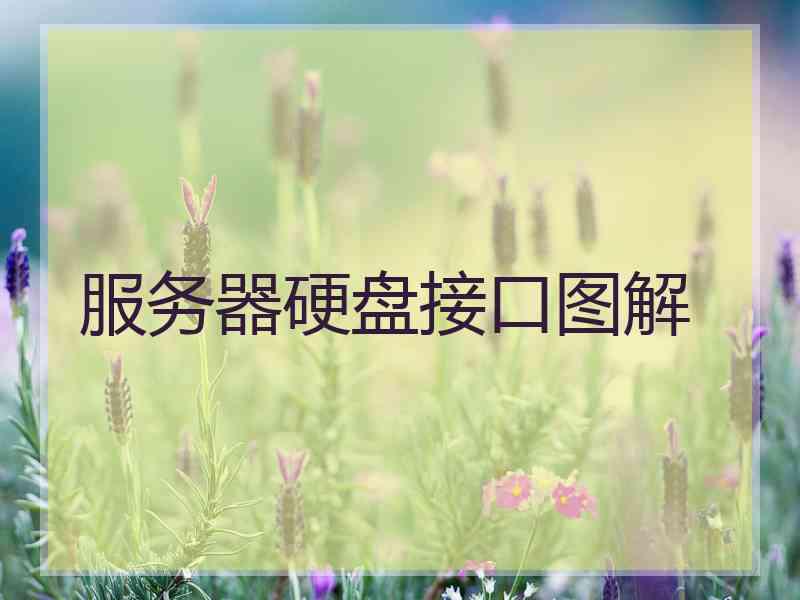 服务器硬盘接口图解