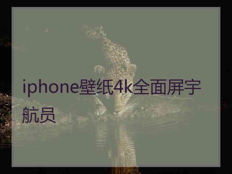 iphone壁纸4k全面屏宇航员