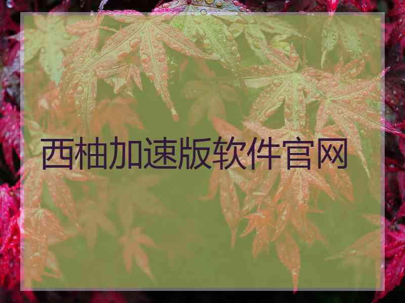 西柚加速版软件官网