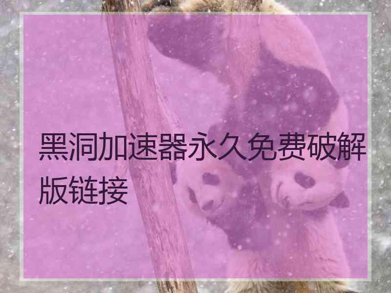 黑洞加速器永久免费破解版链接