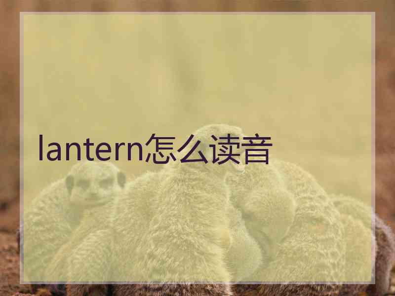 lantern怎么读音