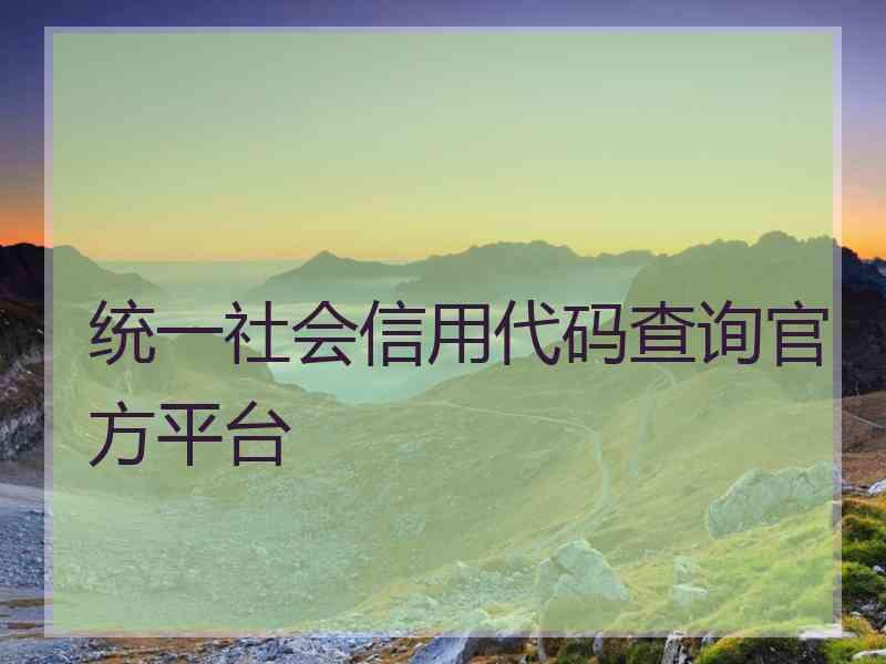 统一社会信用代码查询官方平台