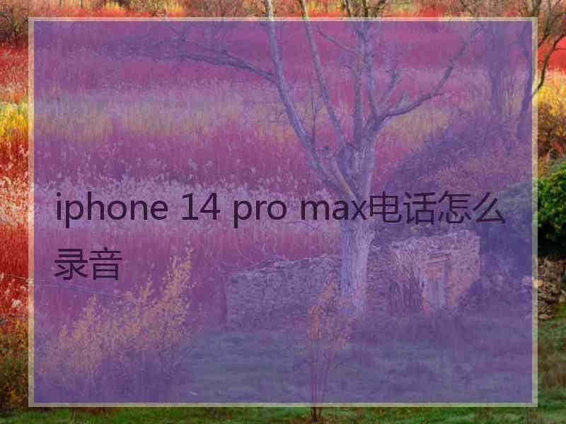 iphone 14 pro max电话怎么录音