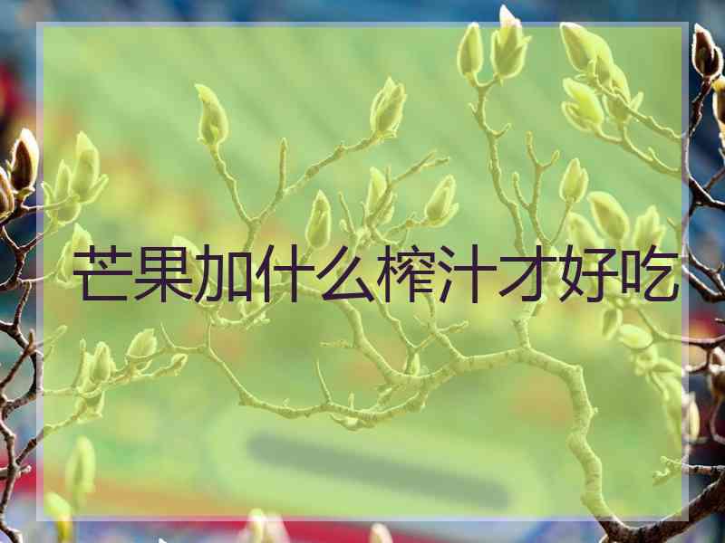 芒果加什么榨汁才好吃