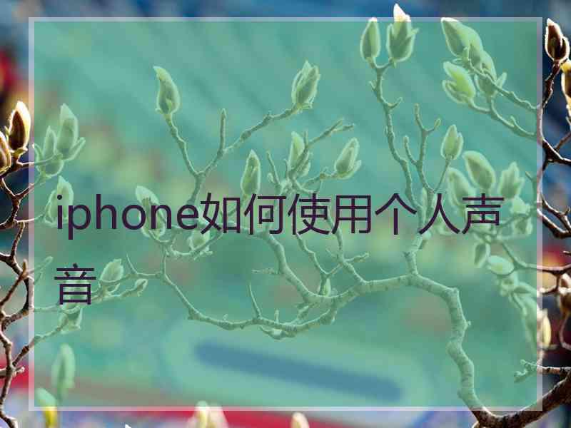 iphone如何使用个人声音