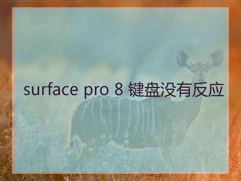 surface pro 8 键盘没有反应