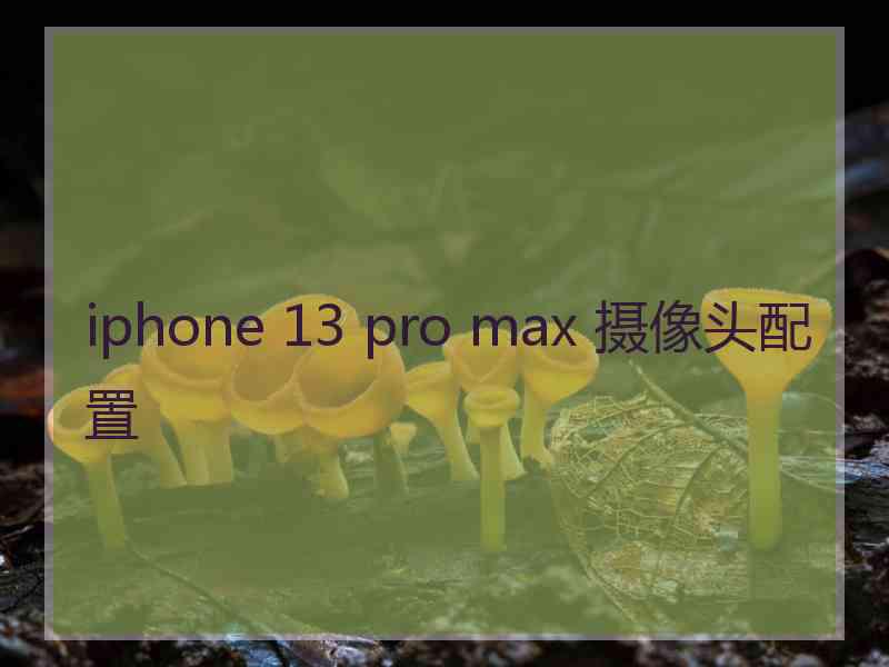 iphone 13 pro max 摄像头配置