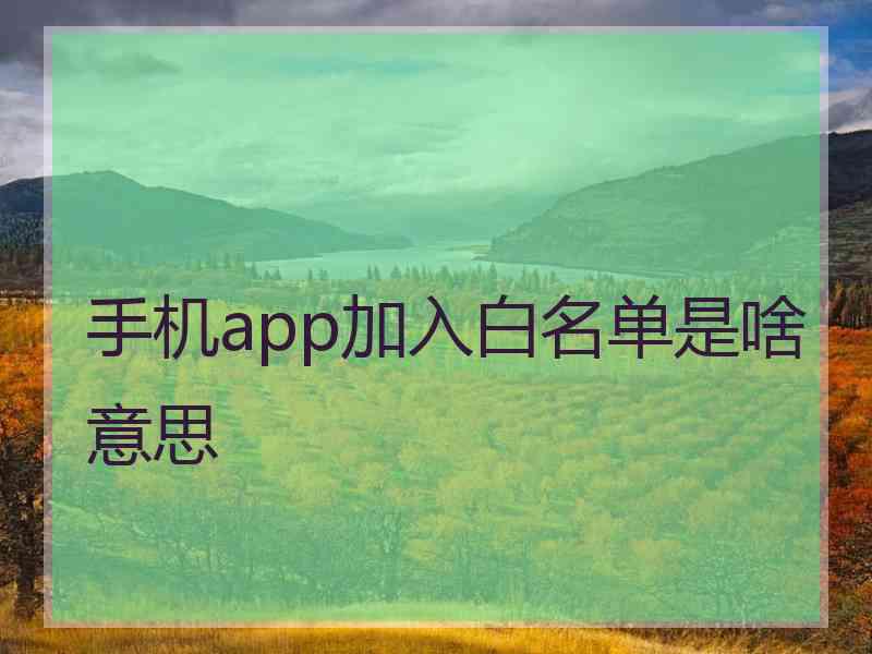 手机app加入白名单是啥意思