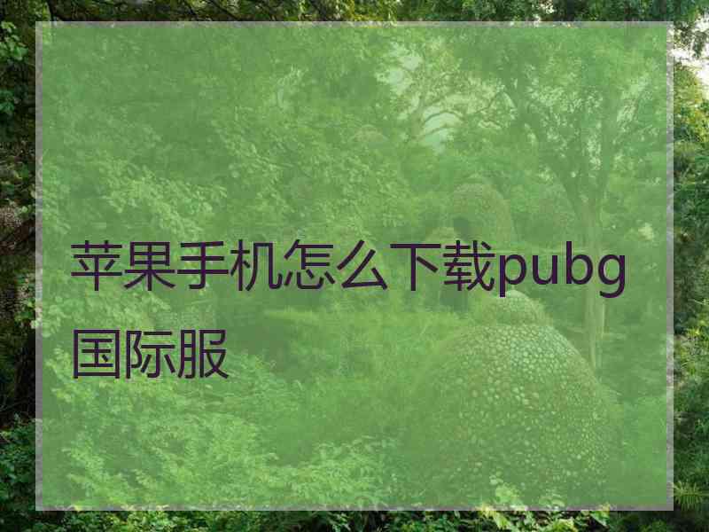 苹果手机怎么下载pubg国际服