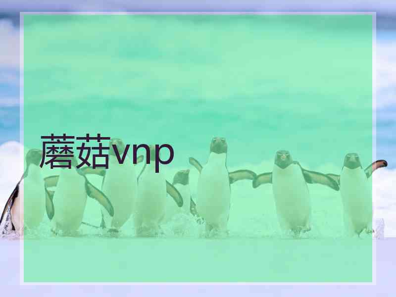 蘑菇vnp