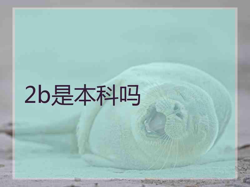 2b是本科吗