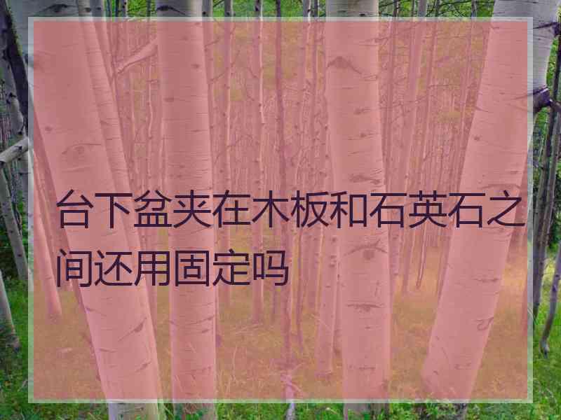 台下盆夹在木板和石英石之间还用固定吗