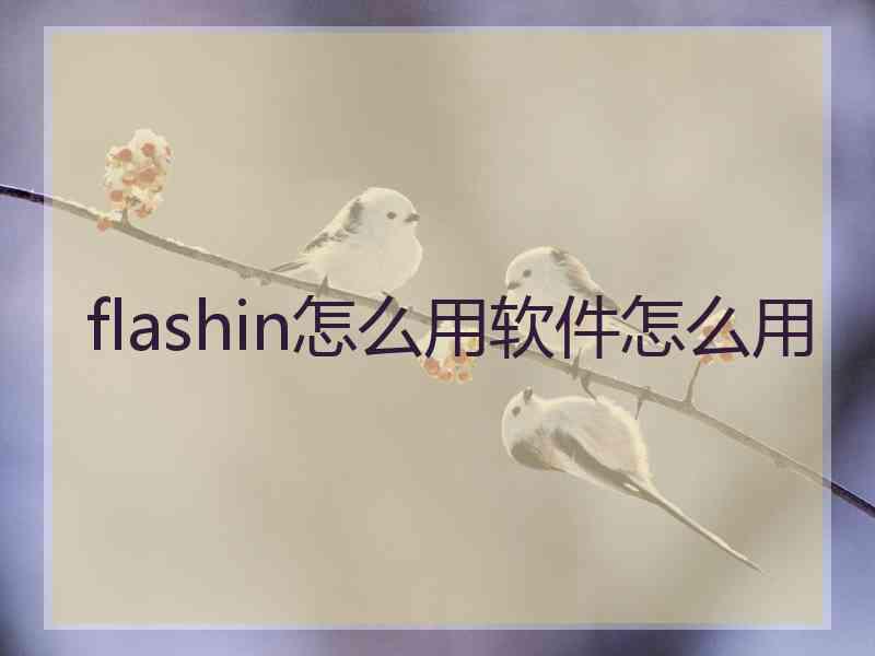 flashin怎么用软件怎么用