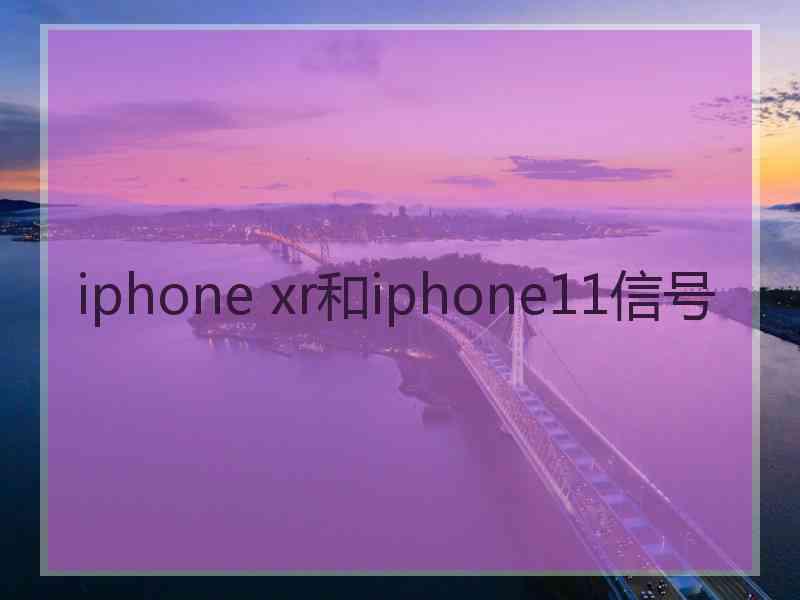 iphone xr和iphone11信号