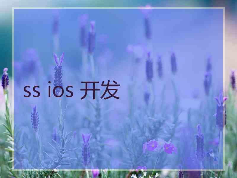 ss ios 开发