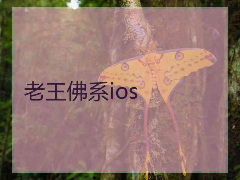 老王佛系ios