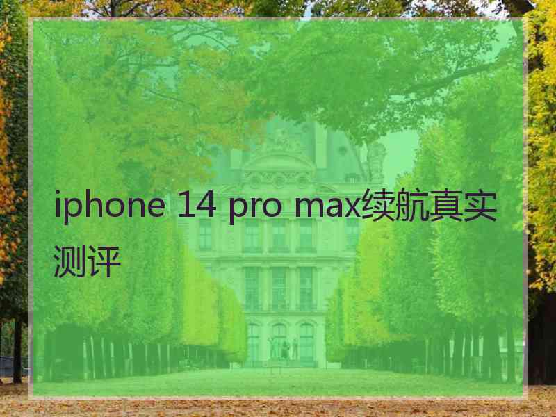 iphone 14 pro max续航真实测评