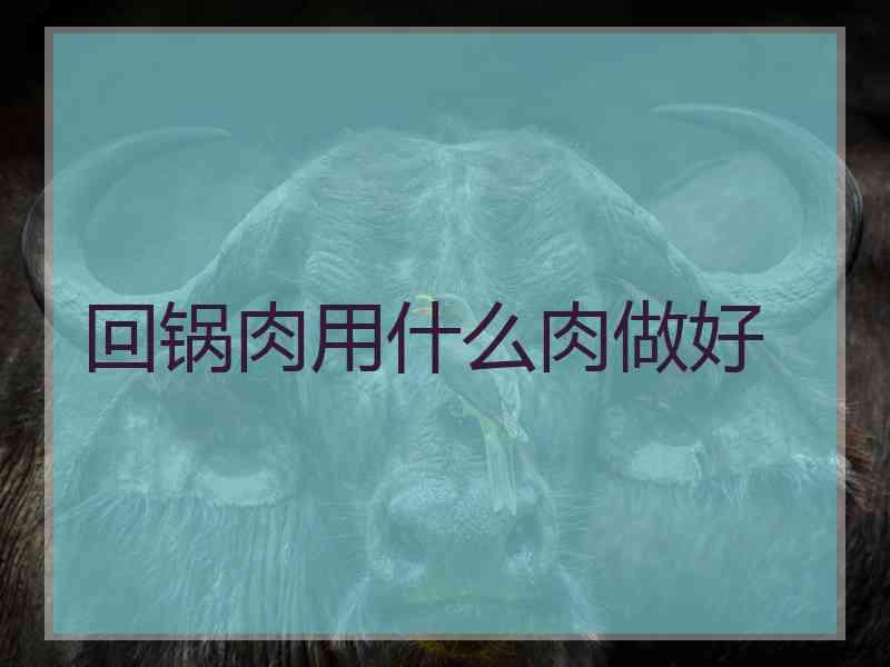 回锅肉用什么肉做好