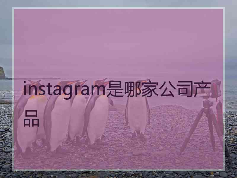 instagram是哪家公司产品