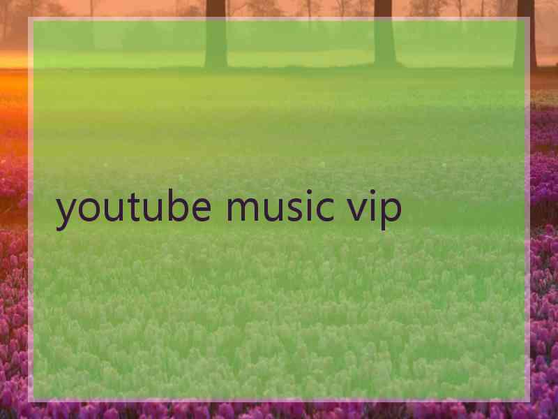 youtube music vip