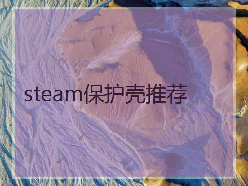 steam保护壳推荐