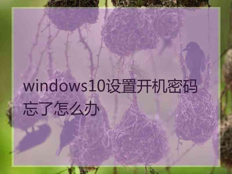 windows10设置开机密码忘了怎么办