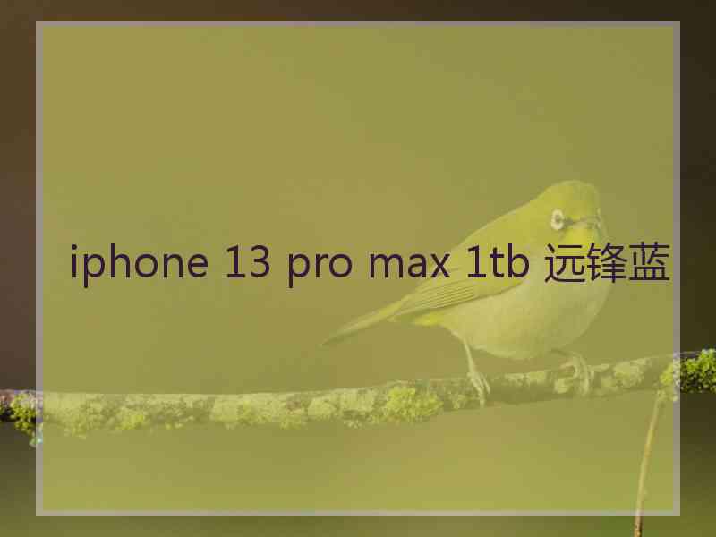 iphone 13 pro max 1tb 远锋蓝