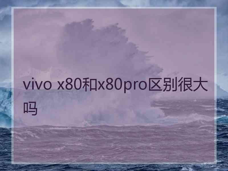 vivo x80和x80pro区别很大吗