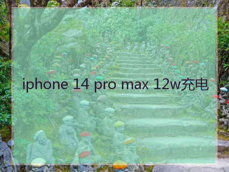 iphone 14 pro max 12w充电