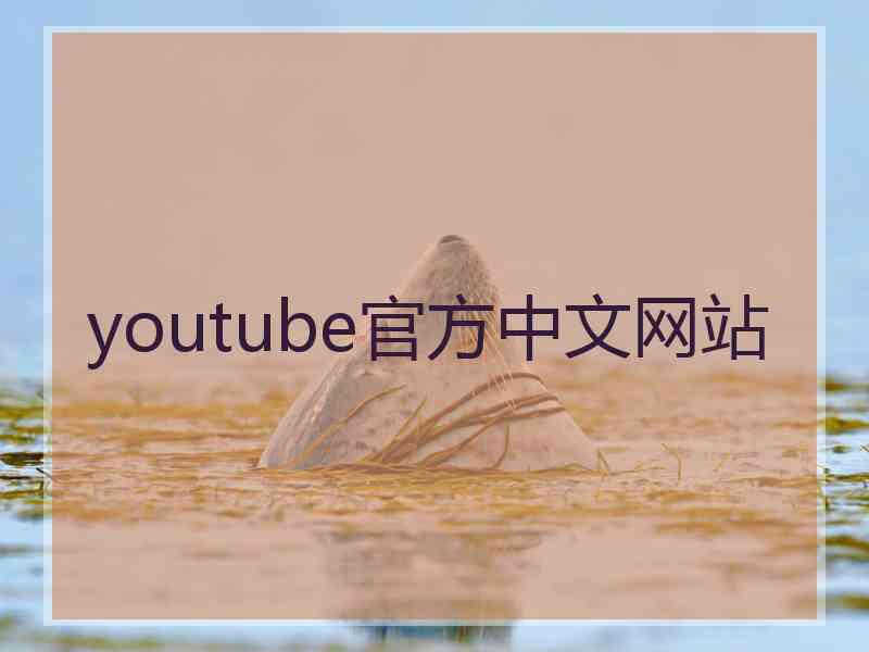 youtube官方中文网站
