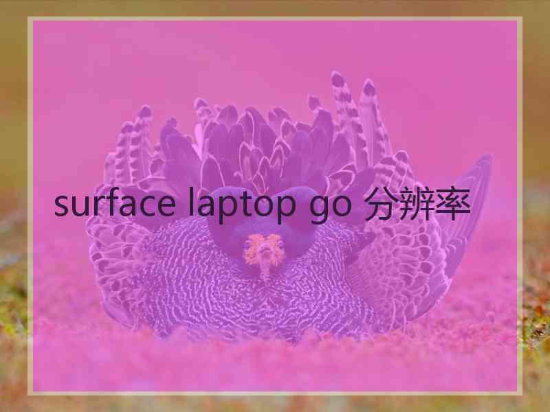 surface laptop go 分辨率