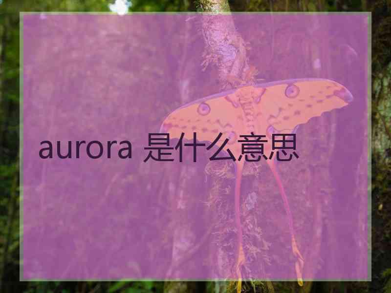 aurora 是什么意思