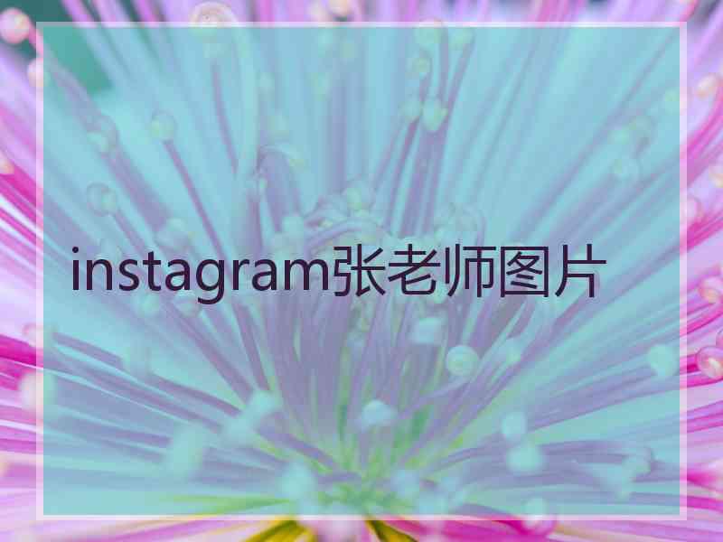 instagram张老师图片