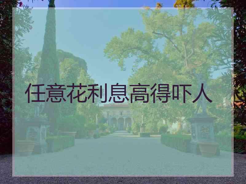 任意花利息高得吓人