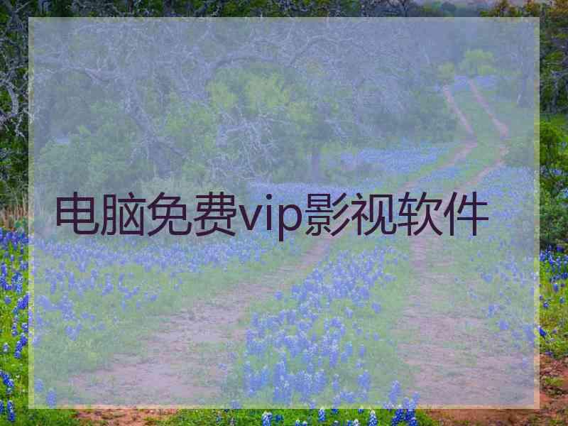 电脑免费vip影视软件