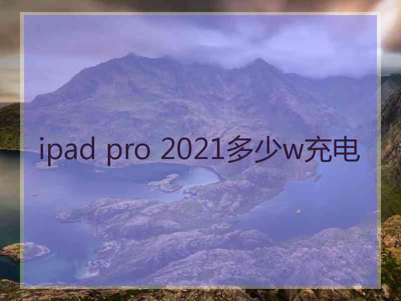 ipad pro 2021多少w充电